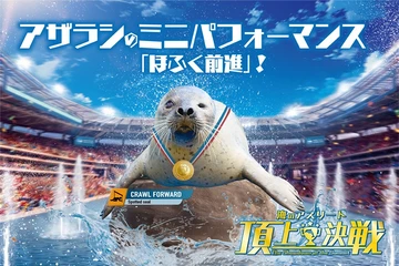 南知多ビーチランド 秋のイベント
