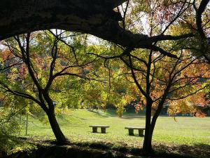 定光寺の紅葉
