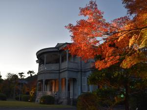 博物館明治村　紅葉ライトアップ