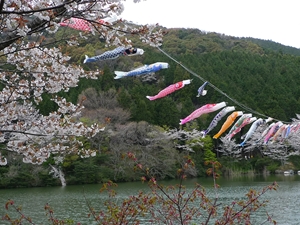 滝頭桜まつり