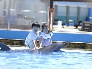 プールの中でイルカにタッチ！