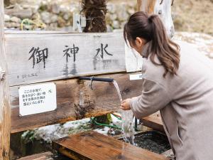 稲武地区の氷瀑
