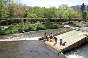 男川やな