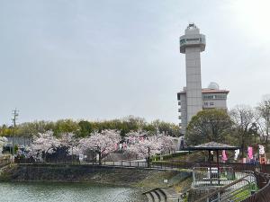 尾張旭・城山公園さくらまつり