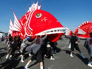 豊浜花火大会