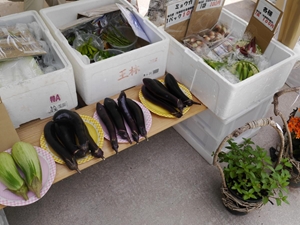半田運河の蔵の市