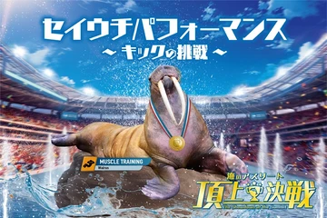 南知多ビーチランド 秋のイベント