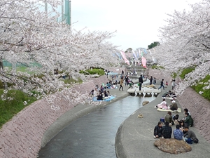 滝頭桜まつり