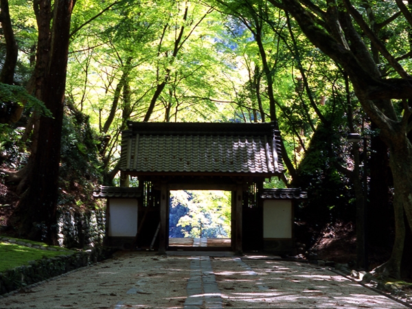 香积寺