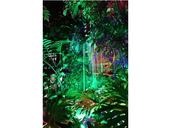 豊橋総合動植物公園(のんほいパーク)「ナイトZOO」