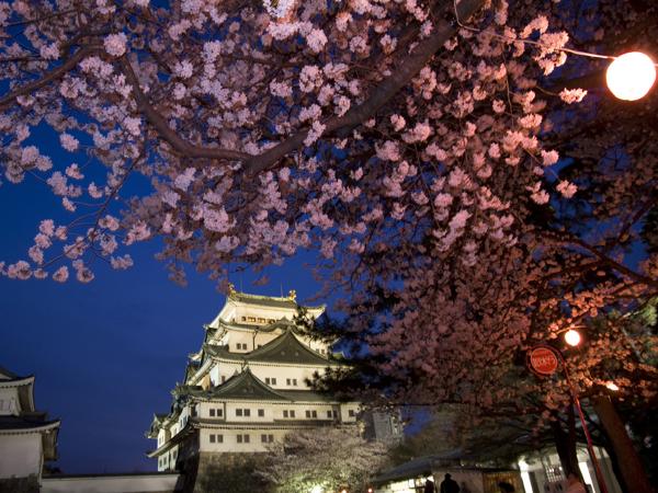 名古屋城　春まつり