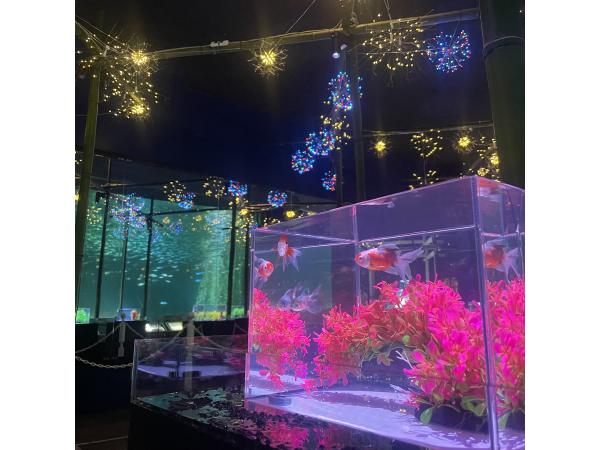 特別展「金魚」