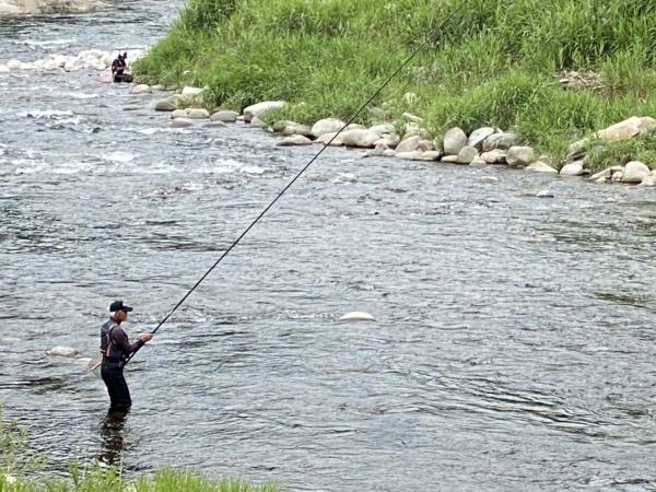 寒狭川上流　あゆ釣り解禁