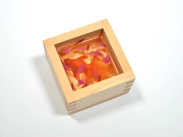 深堀隆介展「金魚の唄」