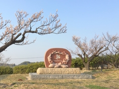 佐布里池梅花節
