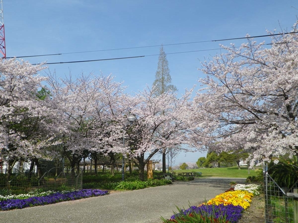 農業文化園・戸田川緑地 春の物語