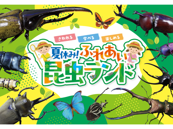 夏休み!ふれあい昆虫ランド