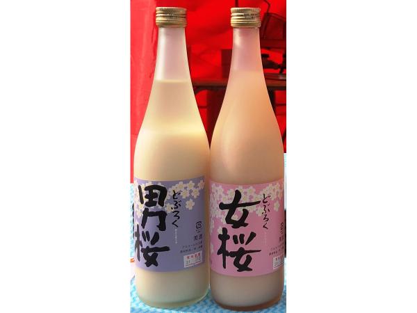 犬山城下町どぶろく祭り