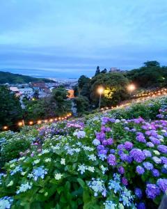 形原温泉紫阳花节