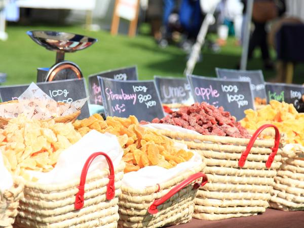 TOKAI ECO FESTA