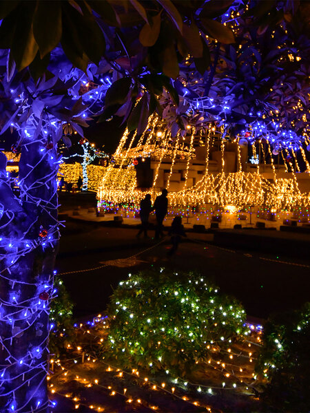 Chiryu Dream Light Display