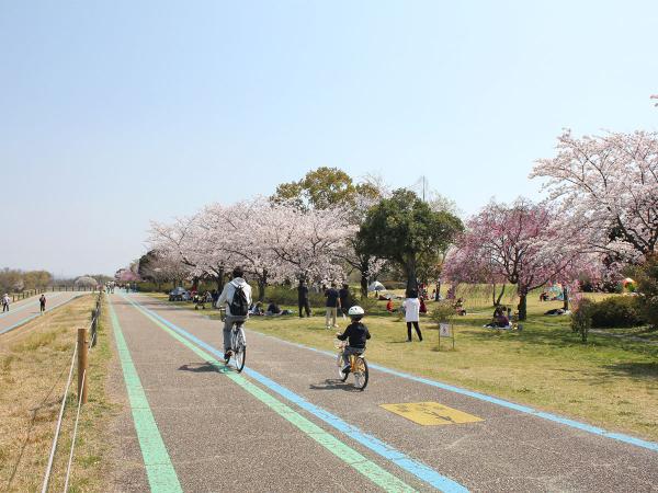 138タワーパーク　さくら祭り