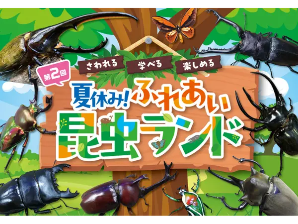 夏休み！ふれあい昆虫ランド