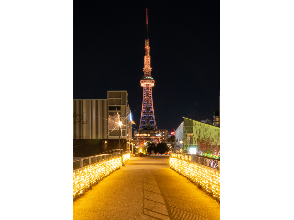 Hisaya-odori Park ウィンターイルミネーション