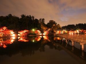 东公园夜间亮灯