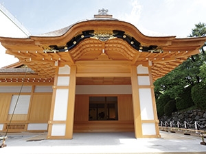 Nagoya Castle