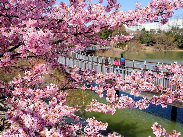 二ツ池公園