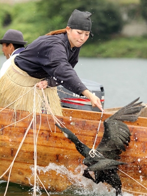 犬山木曾川鵜飼