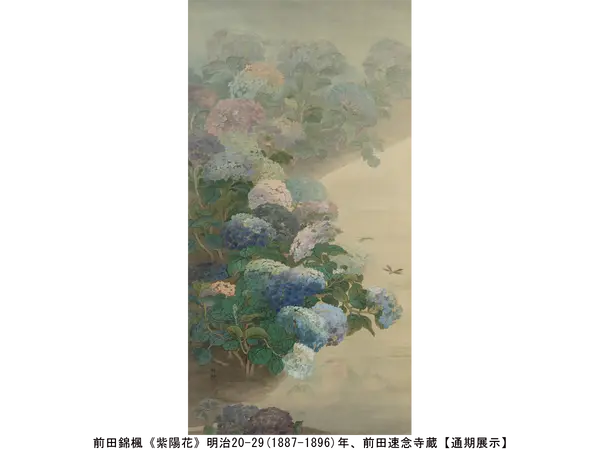 前田錦楓《紫陽花》明治20-29(1887-1896)年、前田速念寺蔵【通期展示】