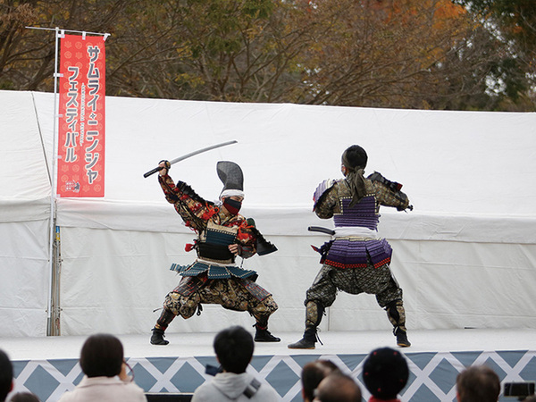 Samurai &amp; Ninja Festival