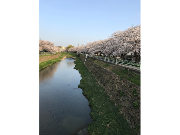 リニモ早春ウォーキング