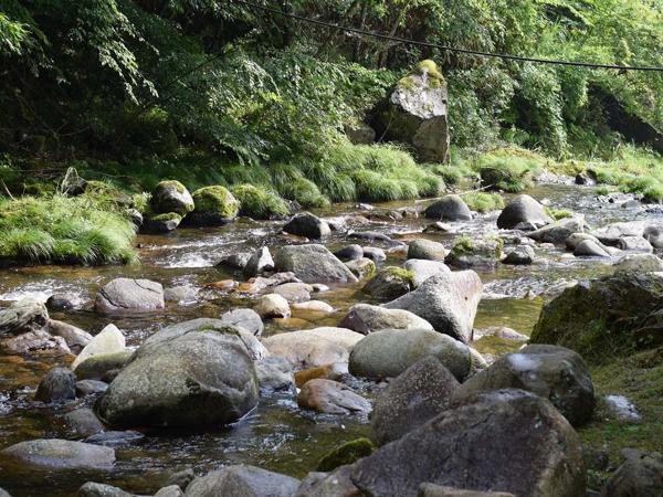 渓流マスツリ場
