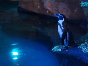 东山动植物园　夜间ZOO
