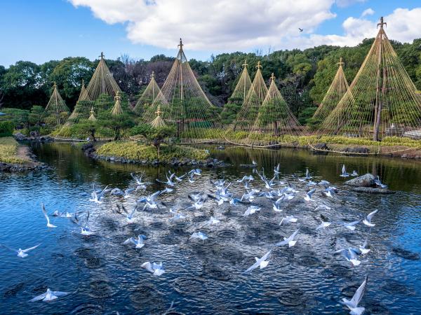 白鳥庭園のお正月
