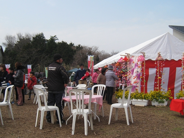 Memeda River Rapeseed Blossom &amp; Cherry Blossom Festival