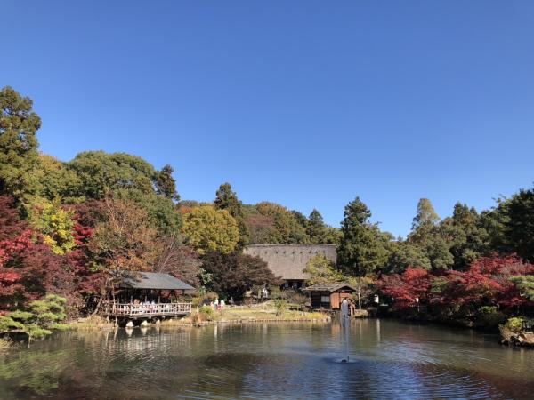 東山動植物園　もみじ狩り