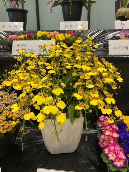 Tokai Flower Show