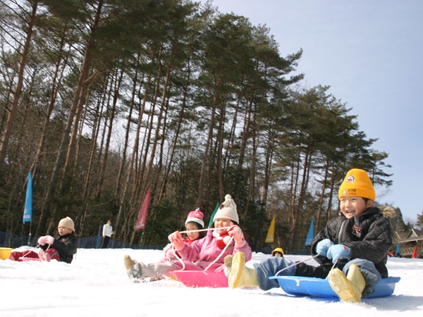 旭高原元気村　雪そりゲレンデ
