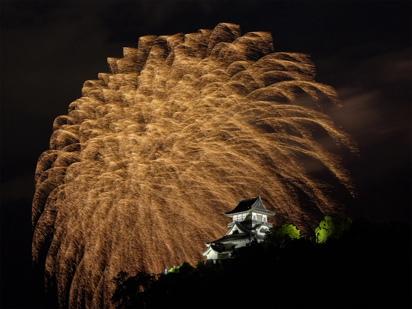 日本ライン夏まつりロングラン花火