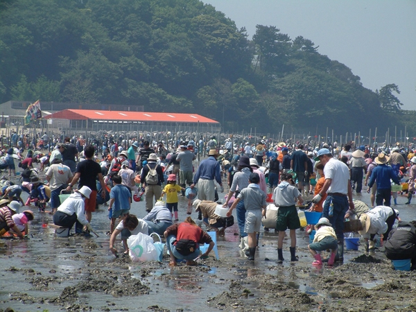東はず海岸・前島　潮干狩り