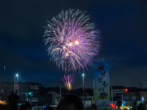 せともの祭