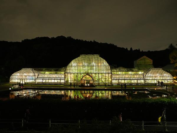 Night Zoo &amp; Garden