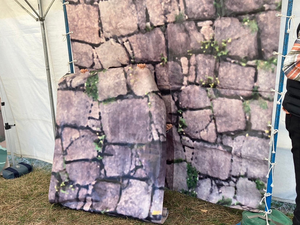 Samurai &amp; Ninja Festival