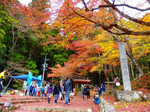 鳳来寺山もみじまつり