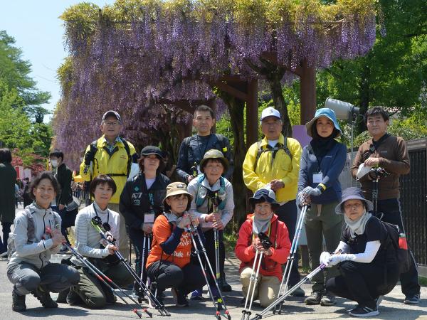 豊田市 ふじまつり ふじの回廊