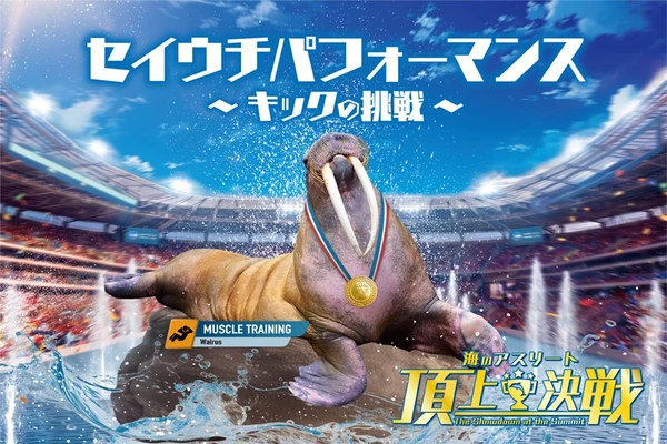 南知多ビーチランド 秋のイベント